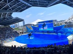 -上海海昌海洋公园-停车场