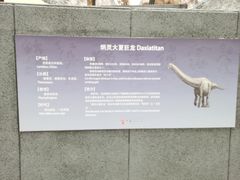 -中华赏石园