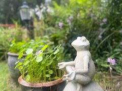 -幽岚山·童话森林