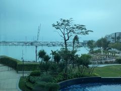 西式下午茶-希尔顿南海酒店·观廊大堂吧·海景下午茶