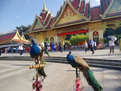 -西双版纳勐泐文化旅游区