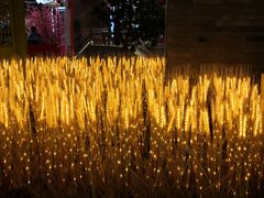 -复地·万科活力中心