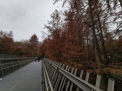 -福道