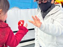-海心沙亚运公园