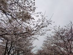 -上海辰山植物园