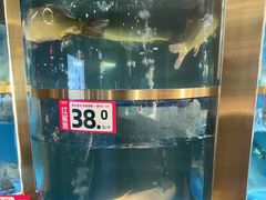 -蜀滋香鲜鱼美蛙火锅(339店)