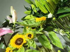 -何兮花店·气球派对鲜花店(马桥银春路万科城店)