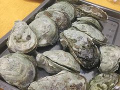 -蚝专家(北滘店)