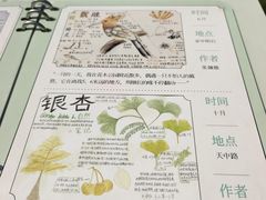 -上海植物园-4号门售票处