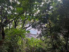 -丽江束河古镇-石莲古寺