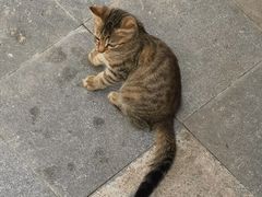 -上海玛雅海滩水公园