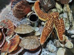 -永红源啤酒·烧烤·海鲜·大排档(青特城店)