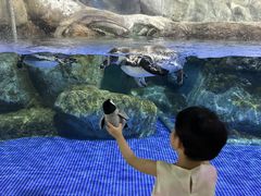 -福州罗源湾海洋世界旅游区