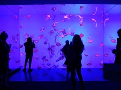 -瑞普利水族馆