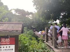 -青青世界