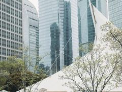 -陆家嘴中心绿地