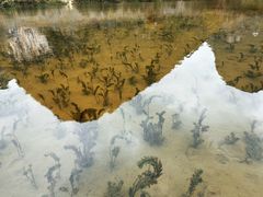 -靖西鹅泉风景区