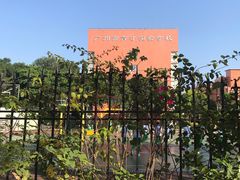 -广州市越秀区育才实验学校