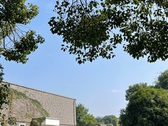 -八大山人梅湖景区