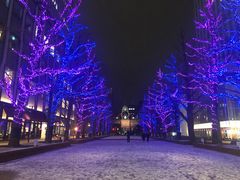 -北海道厅旧本厅舍(旧本庁舎)