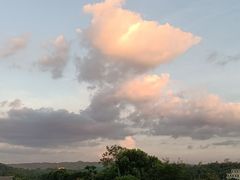 -南宁良凤江国家森林公园