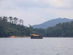 -广州市流溪河国家森林公园