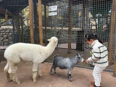 -杭州开元森泊度假乐园