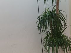 -W·24H茶楼·棋牌·掼蛋(望京店)