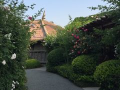 -中华郡文化旅游景区