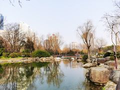 -新虹桥中心花园