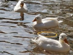 -珠海海泉湾神秘岛亲子乐园