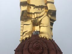 -大金鹰园