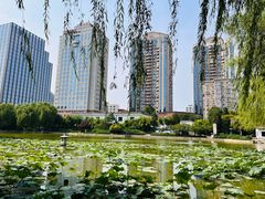 -团结湖公园