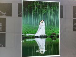 -杭州金夫人婚纱摄影(富阳私享店)