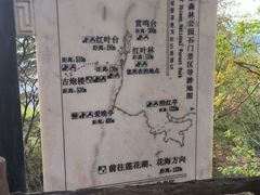 -广州市石门国家森林公园