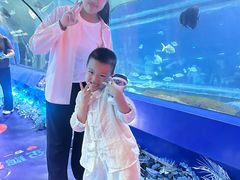 -重庆欢乐海底世界