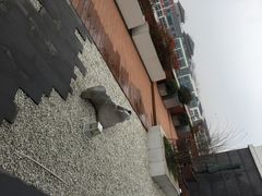 中集格兰云天大酒店-扬州中集格兰云天大酒店