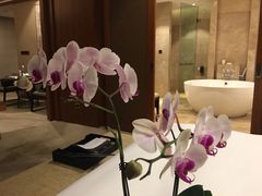 -昆明洲际酒店