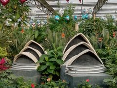 -南宫五洲植物乐园