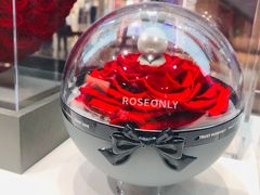 -ROSEONLY诺誓(广州K11店)