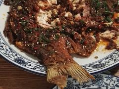 -西北狼(GOGO新天地店)