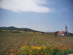 -西海岸生态观光园