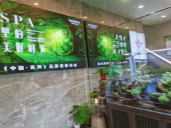 -阅年轻·AI家庭健康体质调理