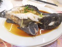 清蒸石斑鱼-花乐餐厅(涠洲岛店)