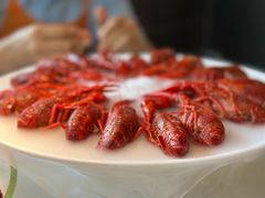 -红盔甲·小龙虾(天钥桥店)
