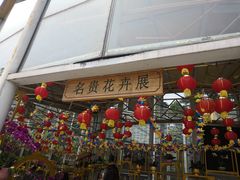 -松山湖梦幻百花洲