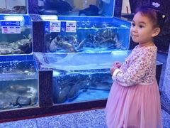 -侨美·唐荔园·40年地道粤菜