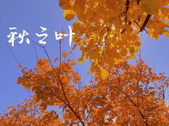-周口店坡峰岭风景区