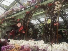 -库肯霍夫公园
