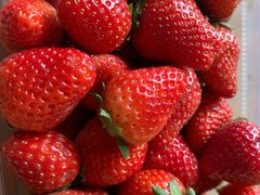 -东漖肉菜综合市场